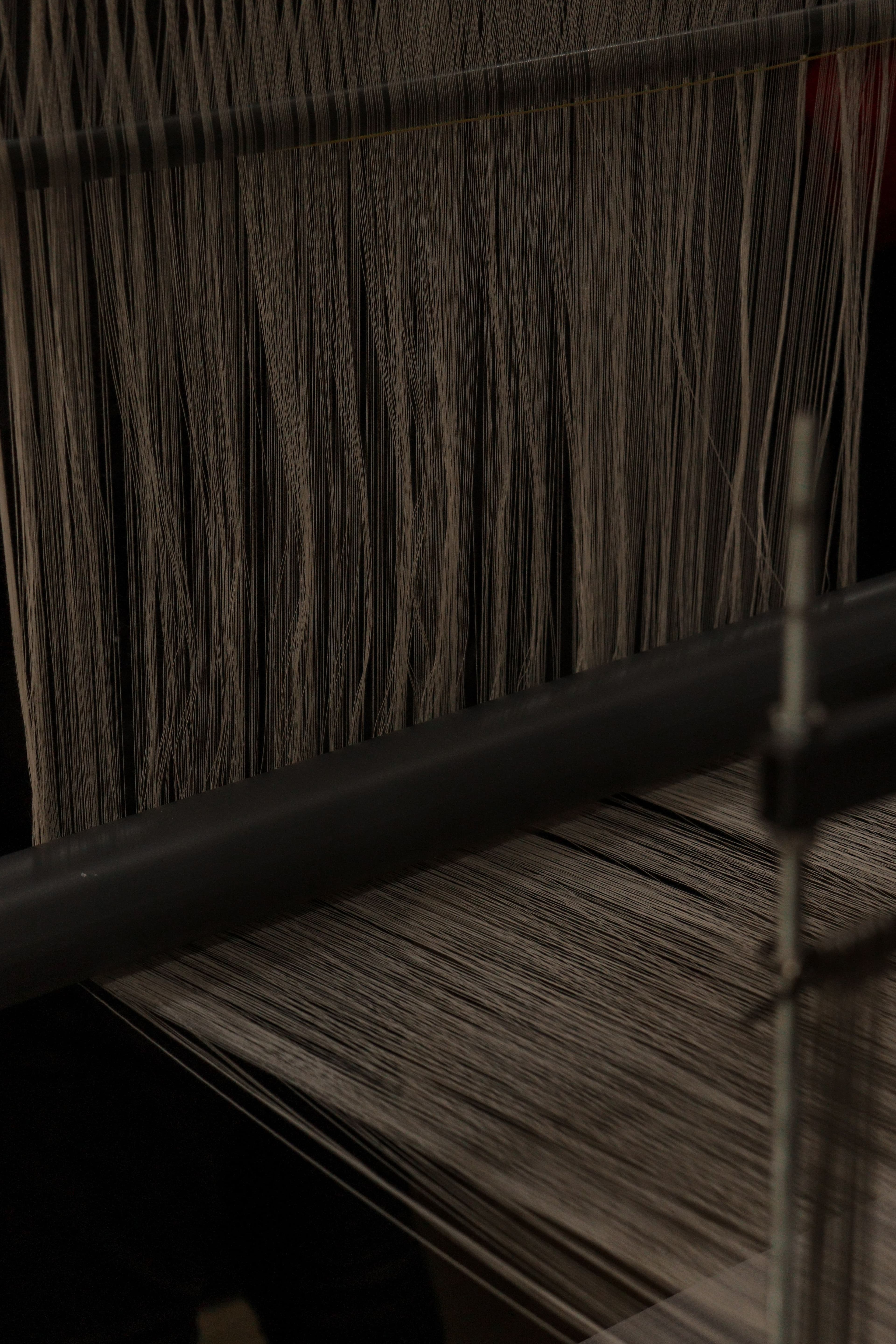 Raw wool